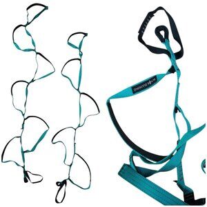 Lot Of 2 Black Diamond 1-5 Step And 1-6step Climbing Aider Teal Green